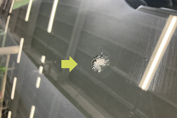 ホンダ(ステップワゴン)のフロントガラスリペア2025.12.21@AGエキスパート厚木店