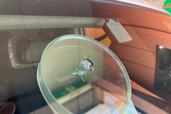 タンク（トヨタ）のフロントガラスリペア2026.1.13@AGエキスパート相模原店