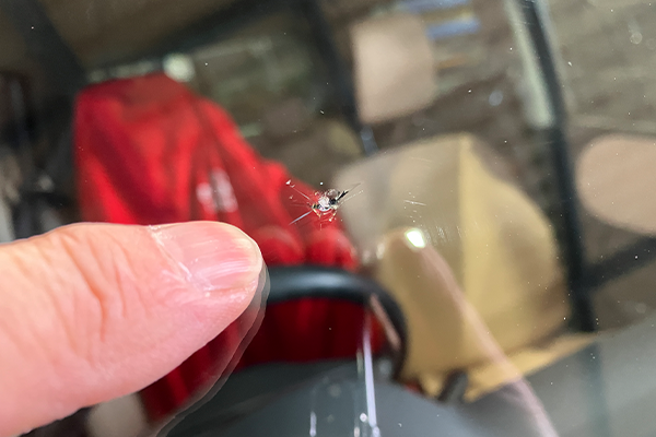 ラパン（スズキ）のフロントガラスリペア2026.2.17@AGエキスパート新座店